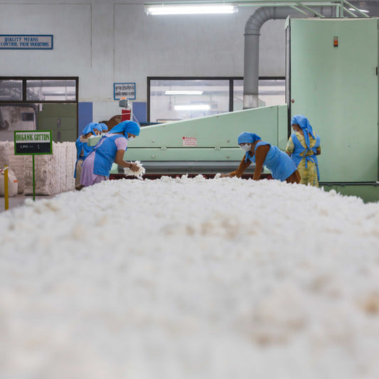 Bekleidung vom Typ „Farm to Yarn“