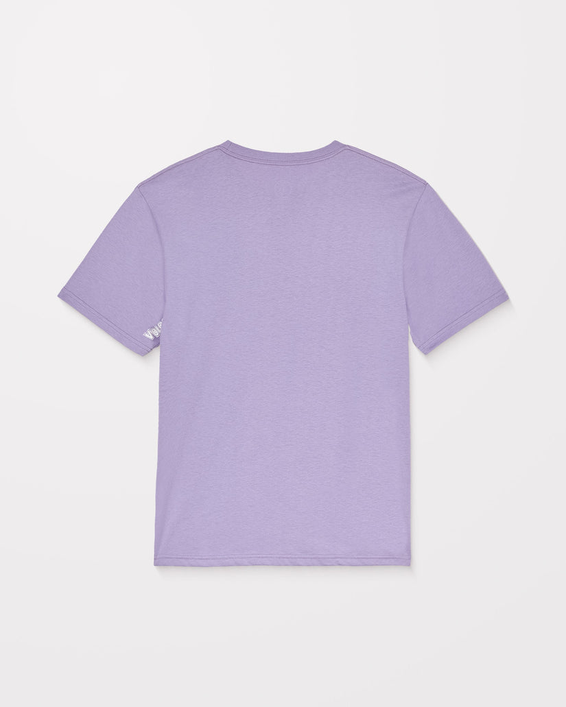 Stone Blanks T-Shirt - Purple Ash