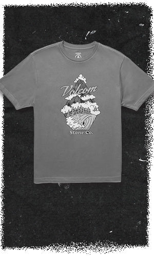 fallback text for an image