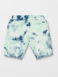 Iconic Stone Plus Fleece Short - TEMPLE TEAL - (KIDS) (C1012330_TMT) [1]