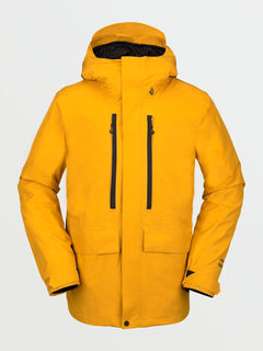 TEN GORE-TEX JACKET (G0652116_RSG) [F]